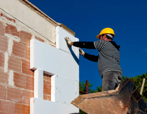 Best Residential Insulation Services  in Lazy Mountain, AK