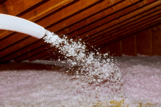 Best Insulation Inspection Services  in Lazy Mountain, AK