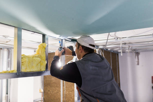 Best Best Insulation Companies  in Lazy Mountain, AK