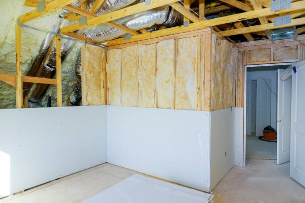 Best Insulation Removal  in Lazy Mountain, AK