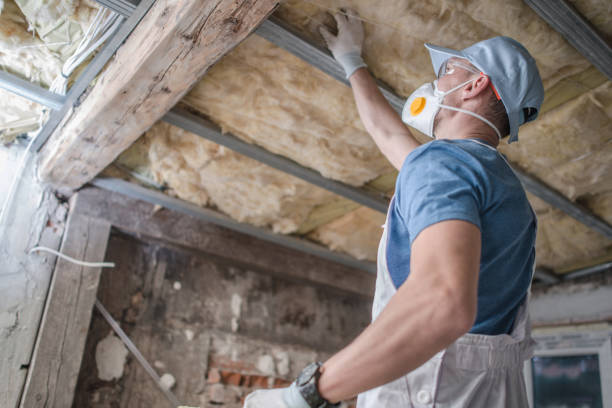 Professional Insulation Contractor in Lazy Mountain, AK