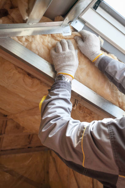 Best Affordable Insulation Services  in Lazy Mountain, AK
