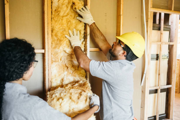 Best Commercial Insulation Contractor  in Lazy Mountain, AK