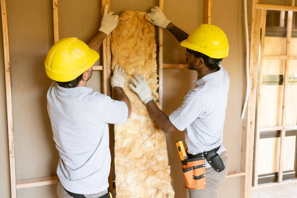 Best Wall Insulation Contractor  in Lazy Mountain, AK