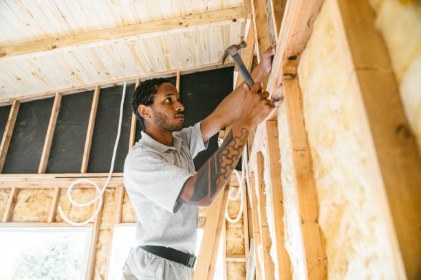 Best Insulation for New Construction  in Lazy Mountain, AK
