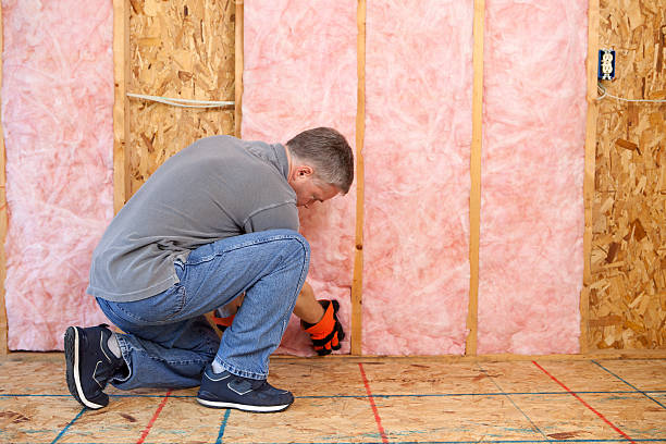 Best Insulation Contractor Near Me  in Lazy Mountain, AK